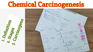 Chemical Carcinogenesis  Carcinogenesis  Neoplasia [upl. by Clive]