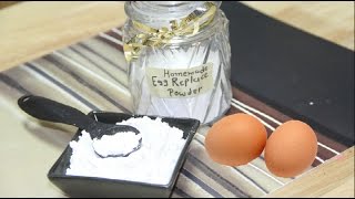 Homemade Egg Replace Powder Video Recipe by Bhavna  Vegan amp Gluten Free [upl. by Hildy]