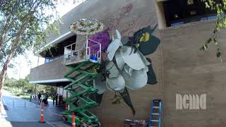 Timelapse Louise Jones Mural at the NCMA [upl. by Ancilin220]