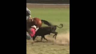 Jesse Brown Wins Average With 183 Seconds on Three in Pendleton  shorts rodeo steerwrestling [upl. by Airamzul554]