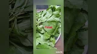 Palak paneer recipessaagpaneerytshortsgreen healthypunjabi stylekakdi khane ke faydejordan [upl. by Mcneil113]