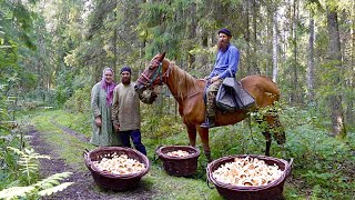 Happy Independent Life of SelfSufficient Families In Remote Villages of Russia [upl. by Nylg]