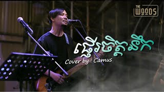 ផ្ញើរចិត្តនឹក  Cover by Camus  Live band [upl. by Denn]