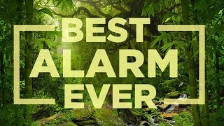 Best Alarm Ever  wake up gently with nature [upl. by Arbua]