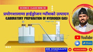 प्रयोगशालामा हाइड्रोजन ग्याँसको उत्पादन Laboratory Preparation of Hydrogen Gas [upl. by Engelhart]