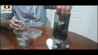 Water Filtration Experiment at home for kids [upl. by Aznofla]