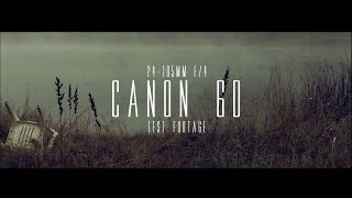 Canon 6D  24105mm F4 Test Footage [upl. by Lehet645]