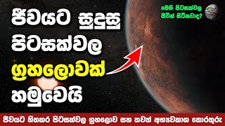 පෘථිවිය වැනි තවත් ග්‍රහලොවක් හමුවෙයි  Gliese 12 b Exoplanet [upl. by Alekal]