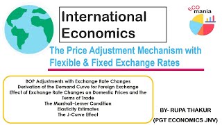 The Price Adjustment Mechanism with Flexible amp Fixed Exchange Rates International Economics [upl. by Howlond]