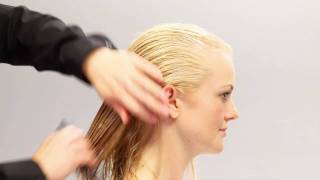 Aveda HowTo  Everyday Body amp Increased Volume for Fine Hair [upl. by Asemaj15]