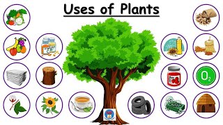 Uses of Plants for kids  Use of Plants  Plants and their uses  Plant give us  Uses of trees [upl. by Rombert]