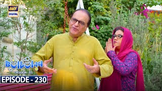 Bulbulay Season 2  Episode 230  9 December 2023  ARY Digital [upl. by Edlitam]