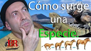 Cómo surge una nueva especie Especiación y Evolución [upl. by Akemrehs]