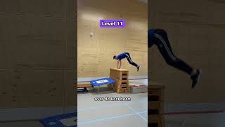 16 Levels van de WendsprongArabier basisschool gymles LOnetwerk wendsprong arabier [upl. by Ophelia545]