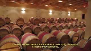 Vinification des vins rouges de Bordeaux [upl. by Lasley]