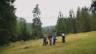 USZIT Bergwaldprojekt [upl. by Staley]