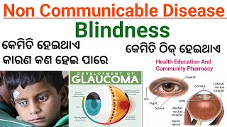 ଅନ୍ଧାରକଣା  BLINDNESS  NON COMMUNICABLE DISEASE  CAUSES OF BLINDNESS  Find Your Job hecp [upl. by Myron]