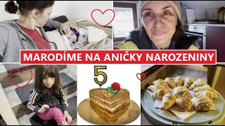 JSME NEMOCNÍ NA ANIČKY NAROZENINY  MamaVlog524  Máma v Německu [upl. by Scutt181]