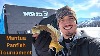 Panfish Ice Fishing Tournament Mantua Reservoir Utah utahicefishing [upl. by Rhoda361]