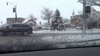 Michigan Winter Snow Storm Alpena Michigan Weather 2019 Dog Jumps On Trampoline And Driving [upl. by Jemimah]