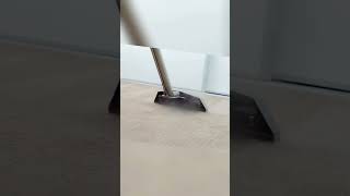 What Carpet Cleaner Kills Fleas boricacid killsfleas damagecontrol orlandoflorida orangecounty [upl. by Ethbin]