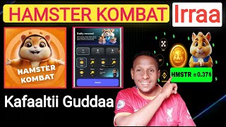 HAMSTER KOMBAT Irrattii Yeroo Gababatti Kafaltii Guddaa  HAMSTER KOMBAT NEW UPDATE [upl. by Alrich914]