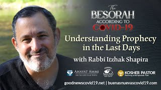 Understanding Prophecy in the Last Days with Rabbi Shapira [upl. by Sabina235]