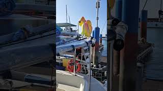 A1 Sail Catamaran Review  Phuket Yacht Tour RU [upl. by Attenehs]