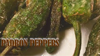 How to prepare Galician Padron Peppers Pimientos de Padrón Spanish Tapas Galician dishes [upl. by Essiralc970]