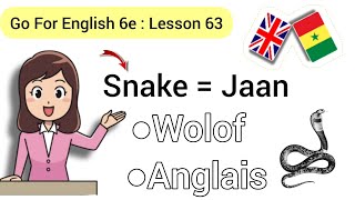 Go For English 6e lesson63 jàng Anglais  wolof anglais [upl. by Siulegroj]