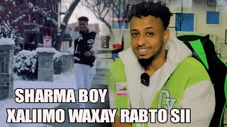 SHARMA BOY  XALIIMO WAXAY RABTO SII  TAN HEES WEY DHAAFTAY  REACTION BY HASSAN SOYA [upl. by Eileek166]