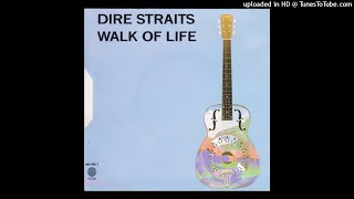 Diré Straits  Walk Of Life Backing Track Mix [upl. by Joappa]