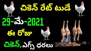 TODAY CHICKEN EGG rates IN ANDHRA PRADESH TELANGANA 29052021CHICKEN PRICE TODAY [upl. by Ailen]