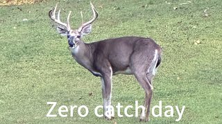 Zero catch day [upl. by Annibo]