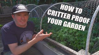 HOW TO CRITTER PROOF YOUR URBAN GARDEN [upl. by Ienttirb654]