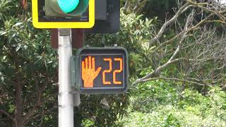 Leotek LED Pedestrian Signal in Concord California [upl. by Darelle]