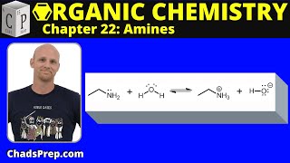 223 Basicity of Amines [upl. by Yntruoc]