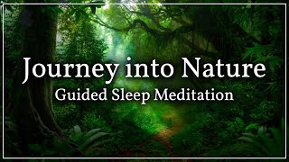 Guided Sleep Meditation Forest Walk  For Falling Asleep amp Relaxation [upl. by Sirtimid977]