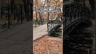 Sfântu Gheorghe CV romania covasna travel omulgheorghedabija nature history youtube ytshorts [upl. by Beare]