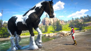 RDR 2  Arthur Morgan Caught Gypsy Cob PieBald Beautiful horse  Best Horse Tamer [upl. by Sined27]