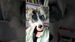 Border Collie masktutorial pt2 therian therianmask otherhearted otherkin dogtherian furry [upl. by Huntlee994]