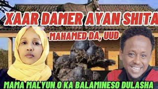 MAHAMED DA UUD XAAR DAMER AYAA SHITAA DULASHA MAMA MALYUN KA UMINEEYSO 🤭😳 [upl. by Draillih529]