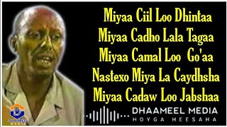 Cumar Dhuule  Nasteexo Miyaa La Caydhshaa   Original Kaban  Lyrics720PHD [upl. by Bellis]