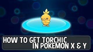 Pokémon X and Y  How To Get Torchic [upl. by Sarge277]