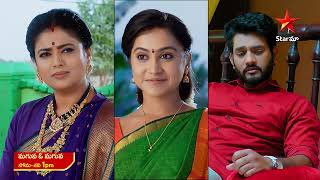 Maguva O Maguva  Promo  24th Feb 2024  Star Maa Serials  MonSat at 1 PM  Star Maa [upl. by Atinreb]