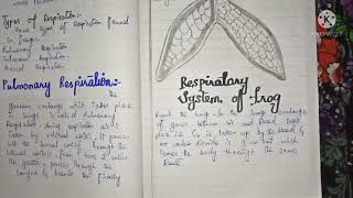 Respiration of frog types of respiration in frogs learningwithsmartsameekA [upl. by Christal]