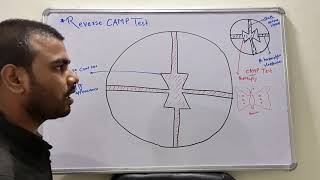 Reverse CAMP Test  Clostridium Perfringens  Microbiology [upl. by Cindelyn904]