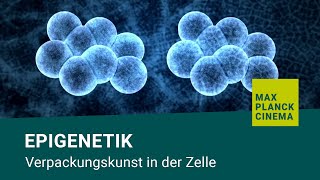 Epigenetik  Verpackungskunst in der Zelle [upl. by Nett]