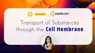 Transport of Substances through the Cell Membrane  Physiology Online  VLearning™ [upl. by Bridges11]