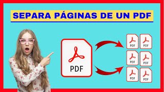 Cómo SEPARAR un ARCHIVO PDF en VARIOS PDF [upl. by Ube]